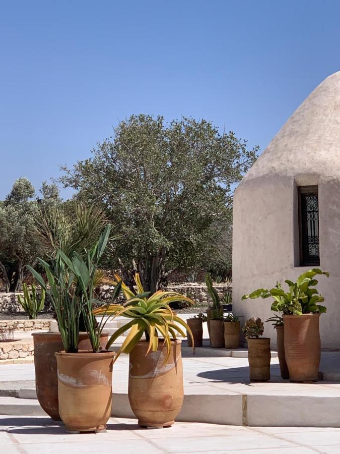 Les Jardins De Villa Maroc Essaouira Exteriör bild