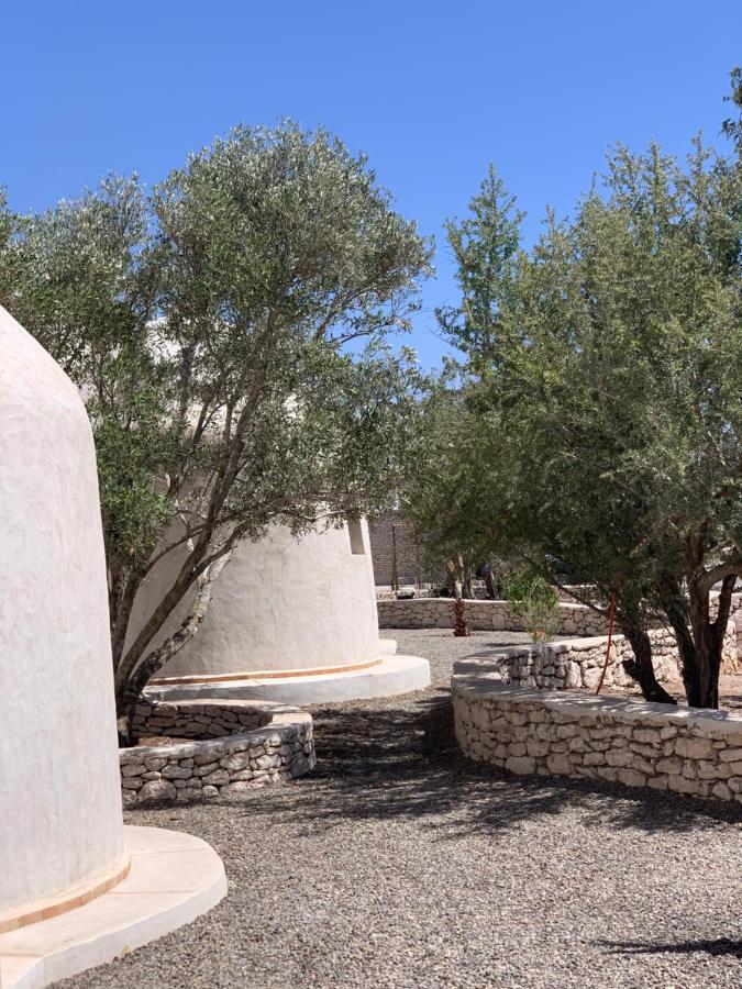 Les Jardins De Villa Maroc Essaouira Exteriör bild